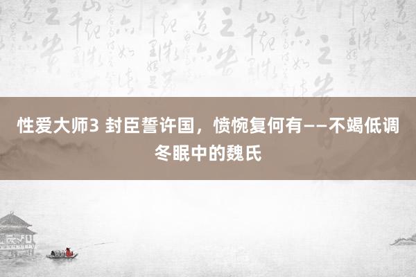 性爱大师3 封臣誓许国，愤惋复何有——不竭低调冬眠中的魏氏