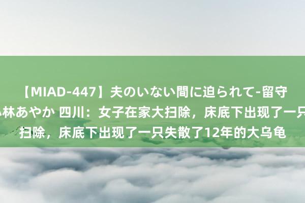 【MIAD-447】夫のいない間に迫られて-留守中に寝取られた私- 小林あやか 四川：女子在家大扫除，床底下出现了一只失散了12年的大乌龟