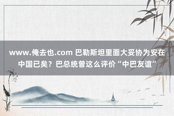 www.俺去也.com 巴勒斯坦里面大妥协为安在中国已矣？巴总统曾这么评价“中巴友谊”