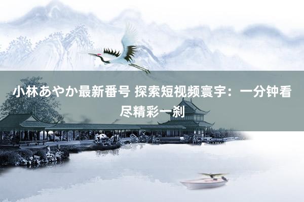 小林あやか最新番号 探索短视频寰宇：一分钟看尽精彩一刹