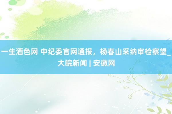 一生酒色网 中纪委官网通报，杨春山采纳审检察望_大皖新闻 | 安徽网