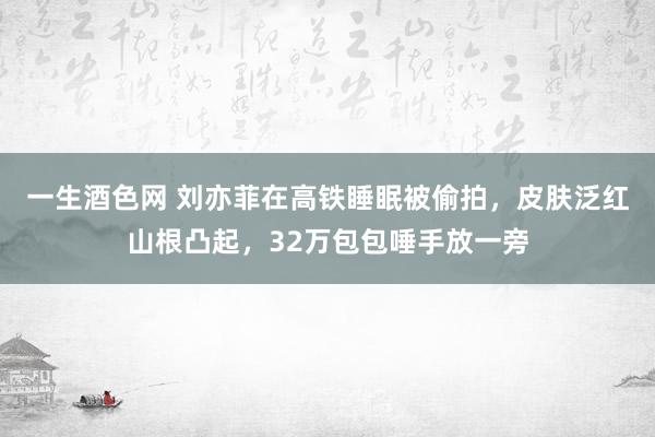 一生酒色网 刘亦菲在高铁睡眠被偷拍，皮肤泛红山根凸起，32万包包唾手放一旁