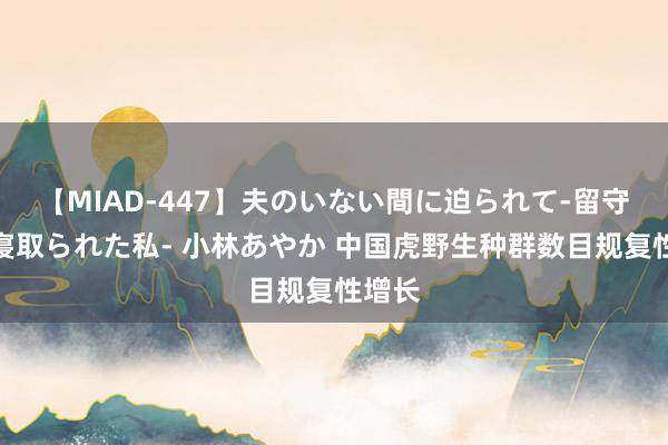 【MIAD-447】夫のいない間に迫られて-留守中に寝取られた私- 小林あやか 中国虎野生种群数目规复性增长