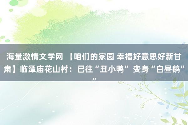 海量激情文学网 【咱们的家园 幸福好意思好新甘肃】临潭庙花山村：已往“丑小鸭” 变身“白昼鹅”