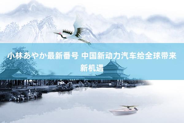 小林あやか最新番号 中国新动力汽车给全球带来新机遇