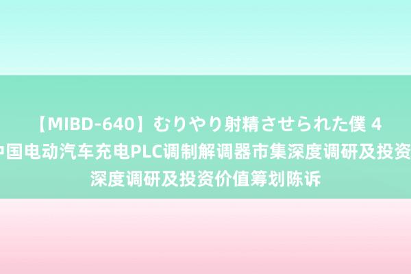 【MIBD-640】むりやり射精させられた僕 4時間 民众与中国电动汽车充电PLC调制解调器市集深度调研及投资价值筹划陈诉