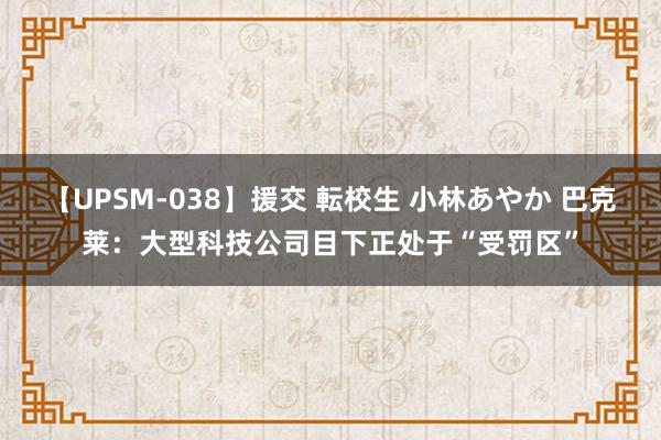 【UPSM-038】援交 転校生 小林あやか 巴克莱：大型科技公司目下正处于“受罚区”