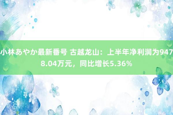 小林あやか最新番号 古越龙山：上半年净利润为9478.04万元，同比增长5.36%