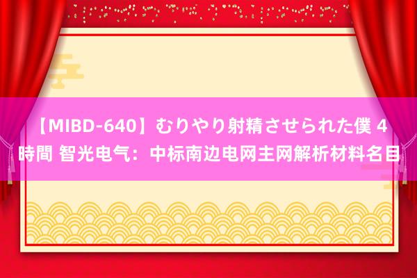 【MIBD-640】むりやり射精させられた僕 4時間 智光电气：中标南边电网主网解析材料名目