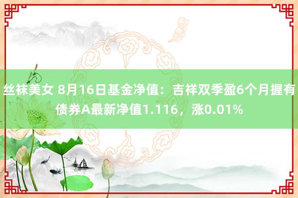 丝袜美女 8月16日基金净值：吉祥双季盈6个月握有债券A最新净值1.116，涨0.01%