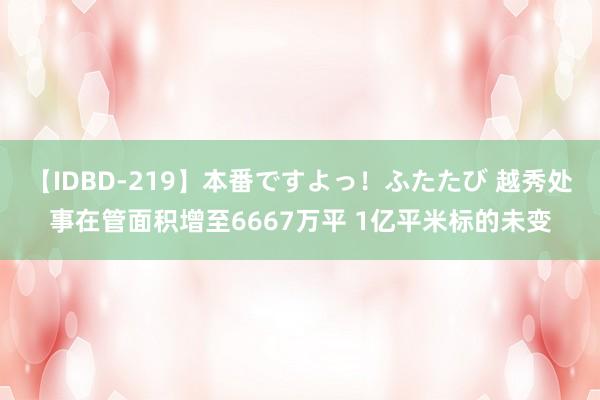 【IDBD-219】本番ですよっ！ふたたび 越秀处事在管面积增至6667万平 1亿平米标的未变