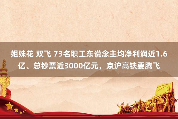 姐妹花 双飞 73名职工东说念主均净利润近1.6亿、总钞票近3000亿元，京沪高铁要腾飞