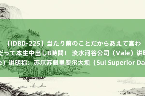 【IDBD-225】当たり前のことだからあえて言わなかったけど…IPはいつだって本生中出し8時間！ 淡水河谷公司（Vale）讲明称：苏尔苏佩里奥尔大坝（Sul Superior Dam）的情状有所改善