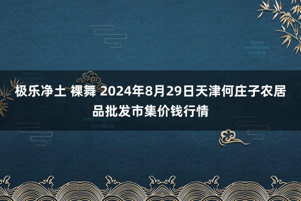 极乐净土 裸舞 2024年8月29日天津何庄子农居品批发市集价钱行情