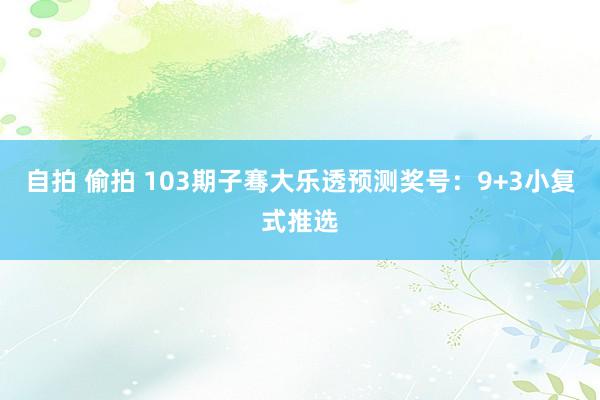 自拍 偷拍 103期子骞大乐透预测奖号：9+3小复式推选