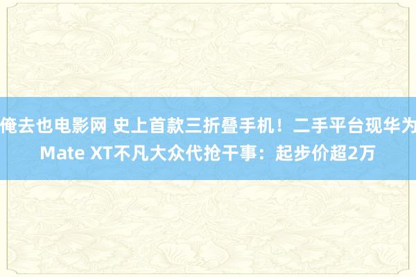 俺去也电影网 史上首款三折叠手机！二手平台现华为Mate XT不凡大众代抢干事：起步价超2万