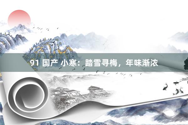 91 国产 小寒：踏雪寻梅，年味渐浓