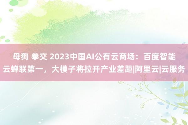 母狗 拳交 2023中国AI公有云商场：百度智能云蝉联第一，大模子将拉开产业差距|阿里云|云服务