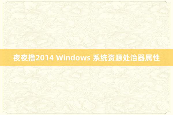 夜夜撸2014 Windows 系统资源处治器属性