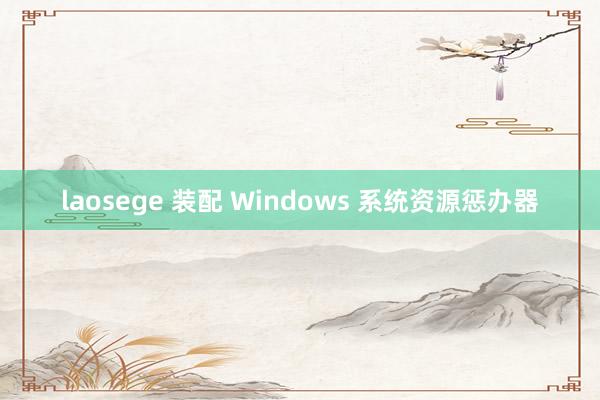 laosege 装配 Windows 系统资源惩办器