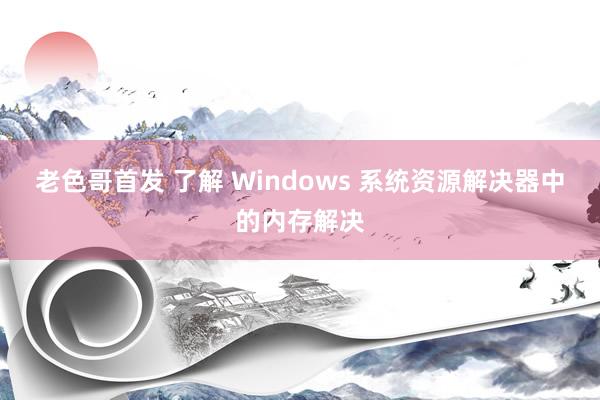 老色哥首发 了解 Windows 系统资源解决器中的内存解决