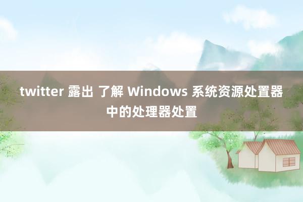 twitter 露出 了解 Windows 系统资源处置器中的处理器处置